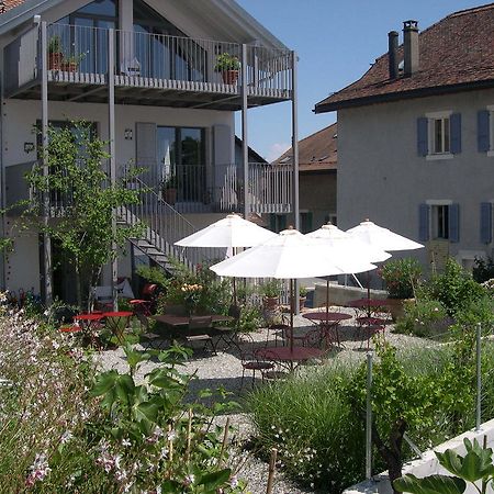 Le Coq Chantant Studios D'Hotes & Boutique Hotel St-Livres Saint-Livres ภายนอก รูปภาพ
