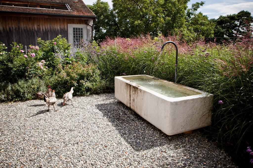 Le Coq Chantant Studios D'Hotes & Boutique Hotel St-Livres Saint-Livres ภายนอก รูปภาพ