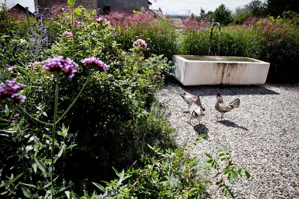 Le Coq Chantant Studios D'Hotes & Boutique Hotel St-Livres Saint-Livres ภายนอก รูปภาพ