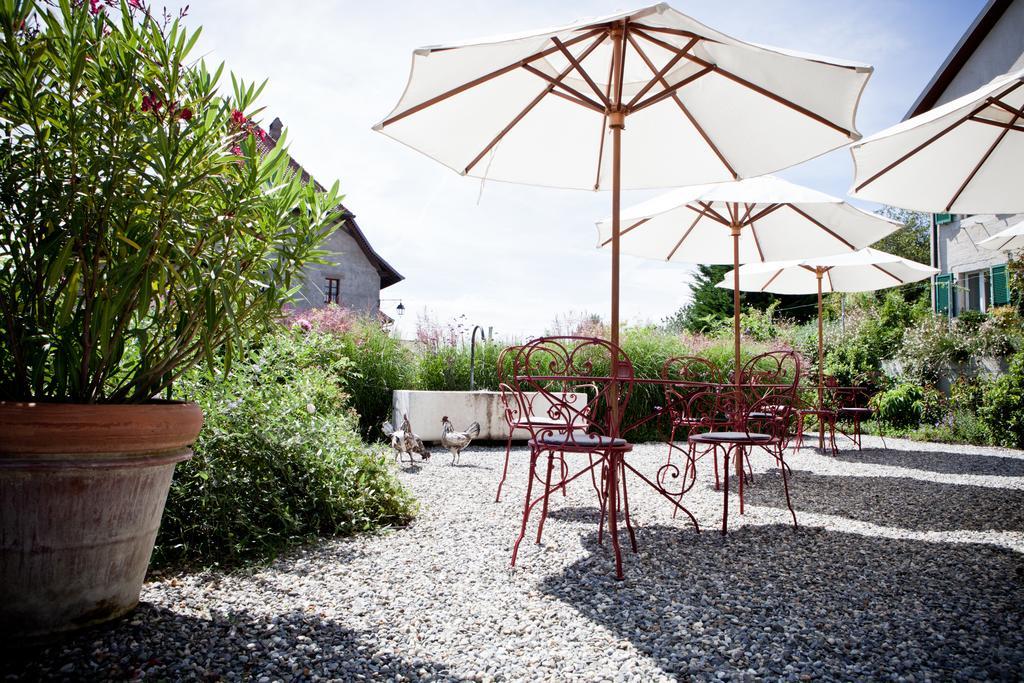 Le Coq Chantant Studios D'Hotes & Boutique Hotel St-Livres Saint-Livres ภายนอก รูปภาพ