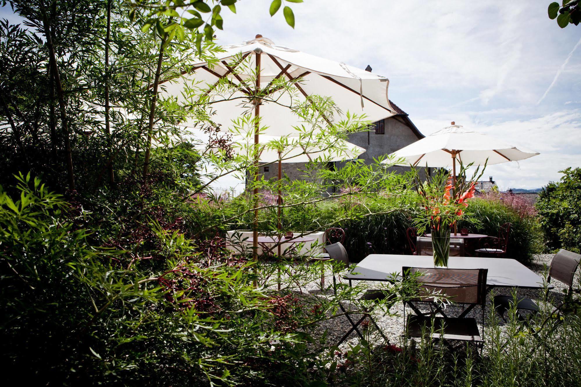 Le Coq Chantant Studios D'Hotes & Boutique Hotel St-Livres Saint-Livres ภายนอก รูปภาพ